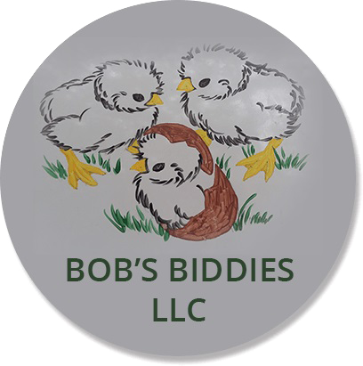 Bob's Biddies LLC Chicken Hatchery
